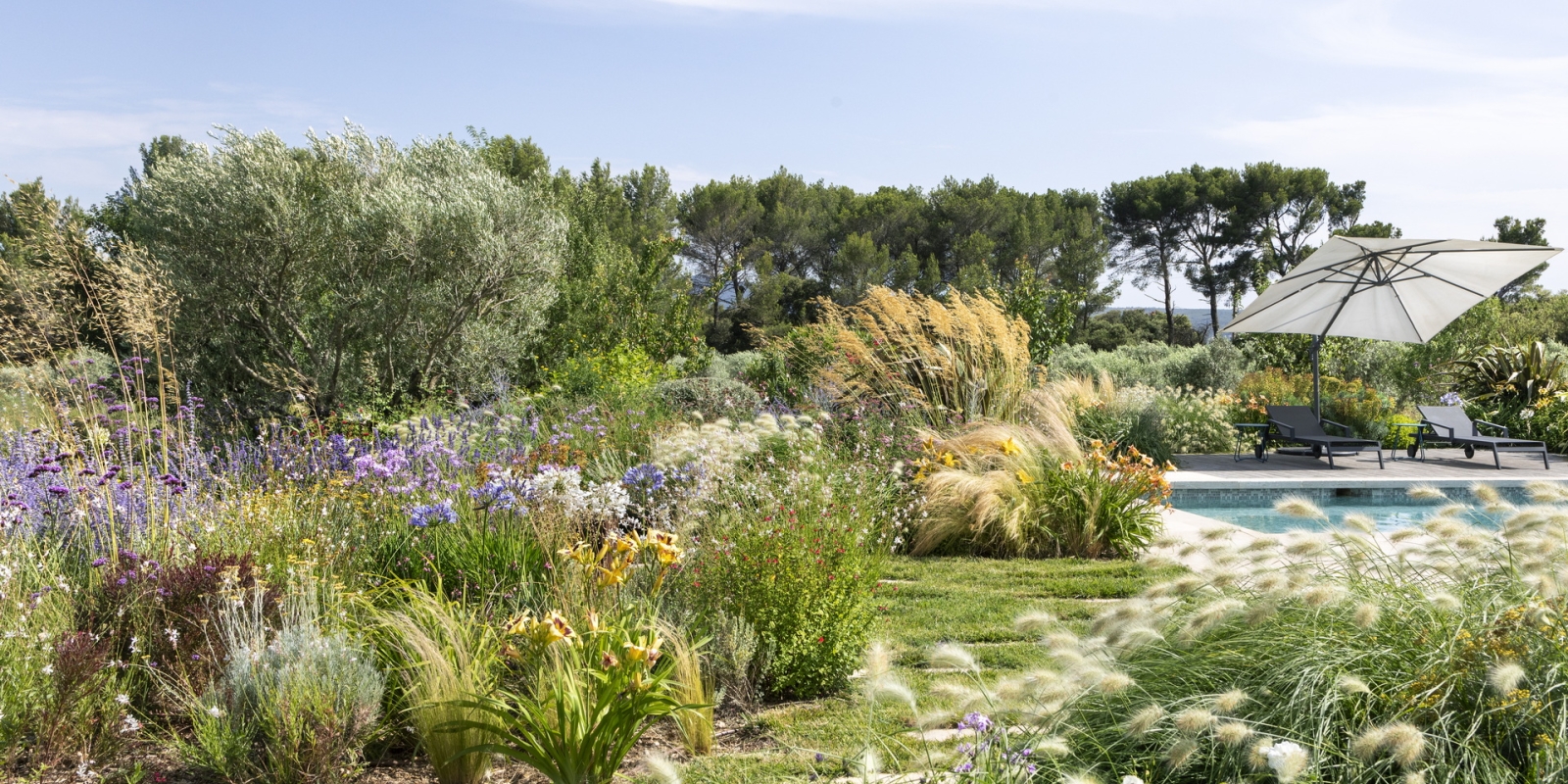 Le jardin naturaliste du haras provençal