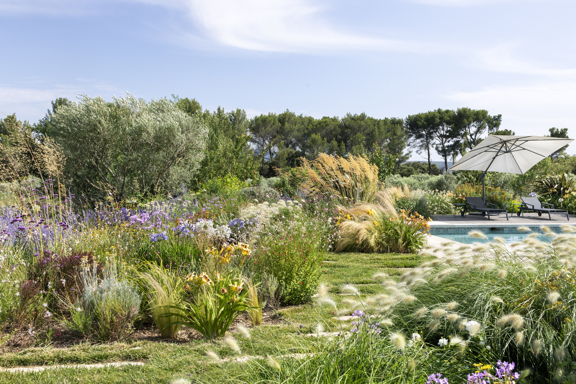 Le jardin naturaliste du haras provençal