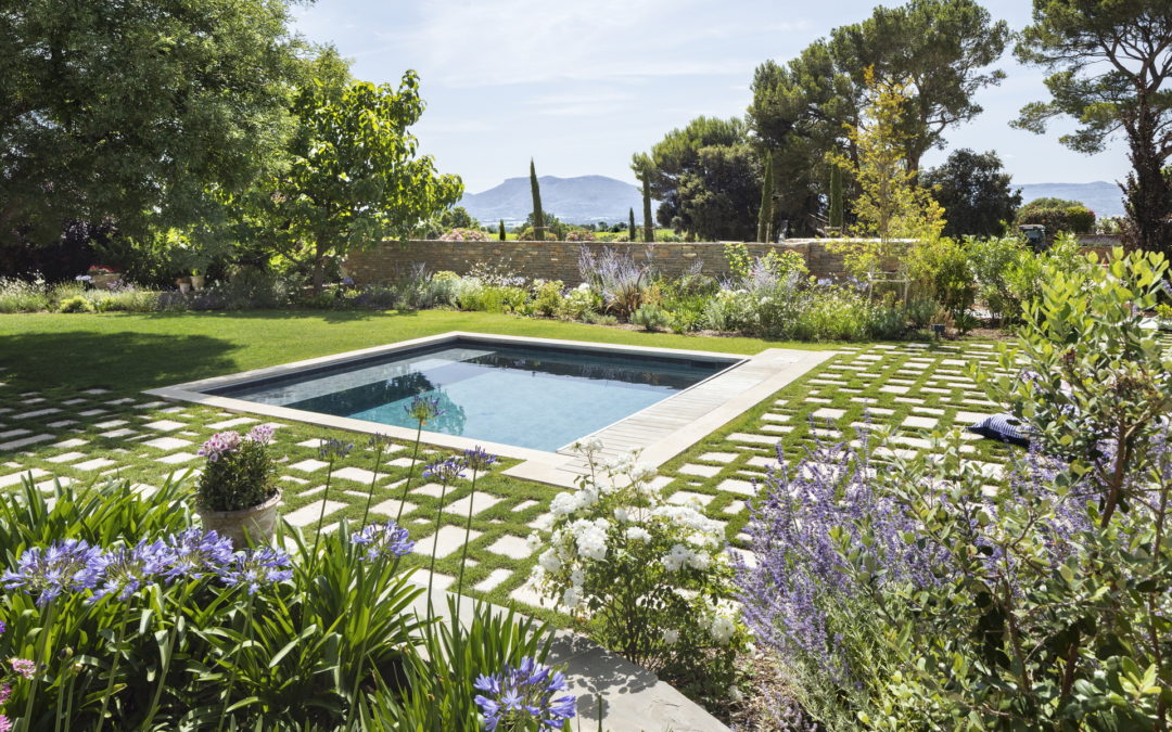 Camaïeu de vert et de blanc