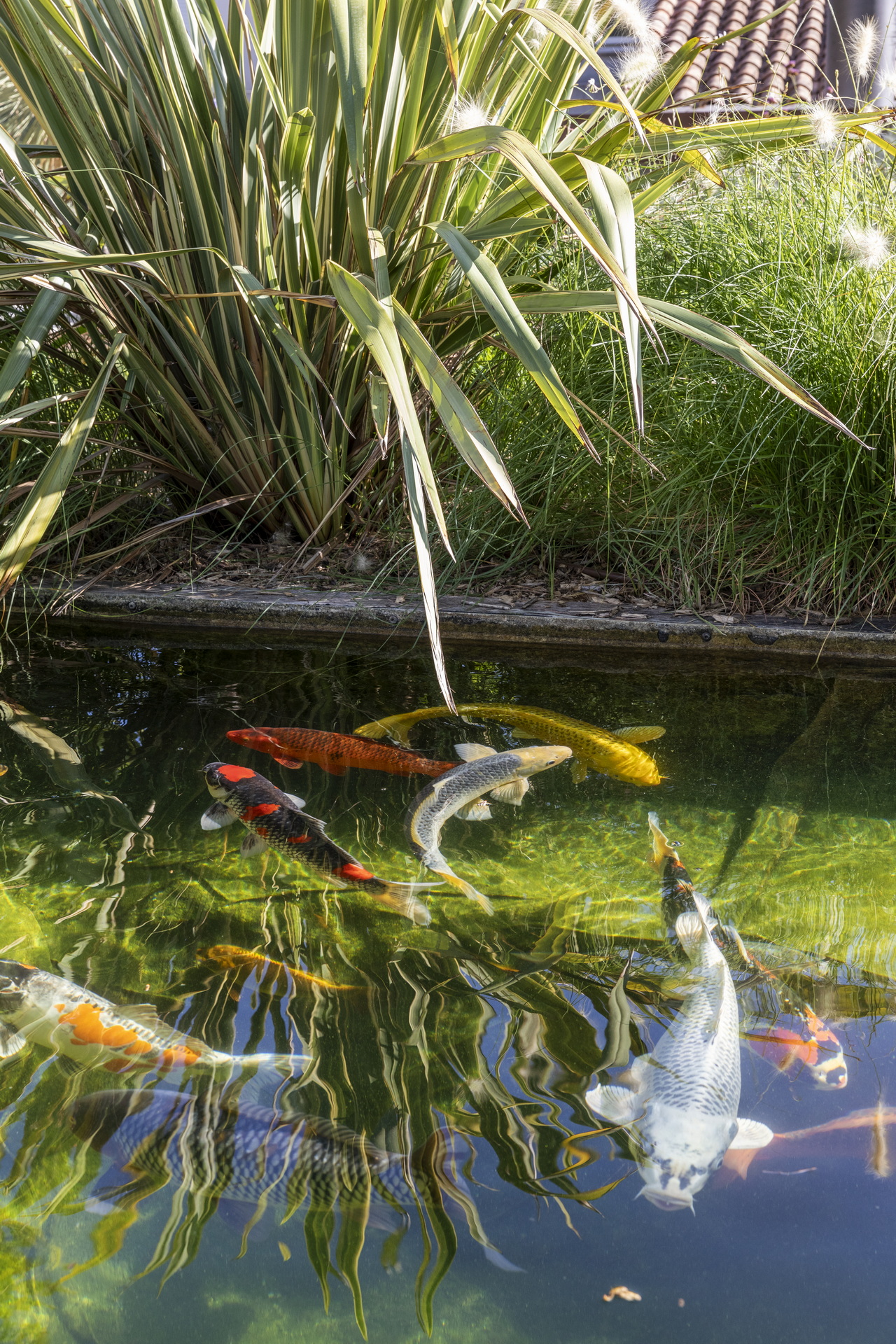 Atelier NAUDIER Paysagiste