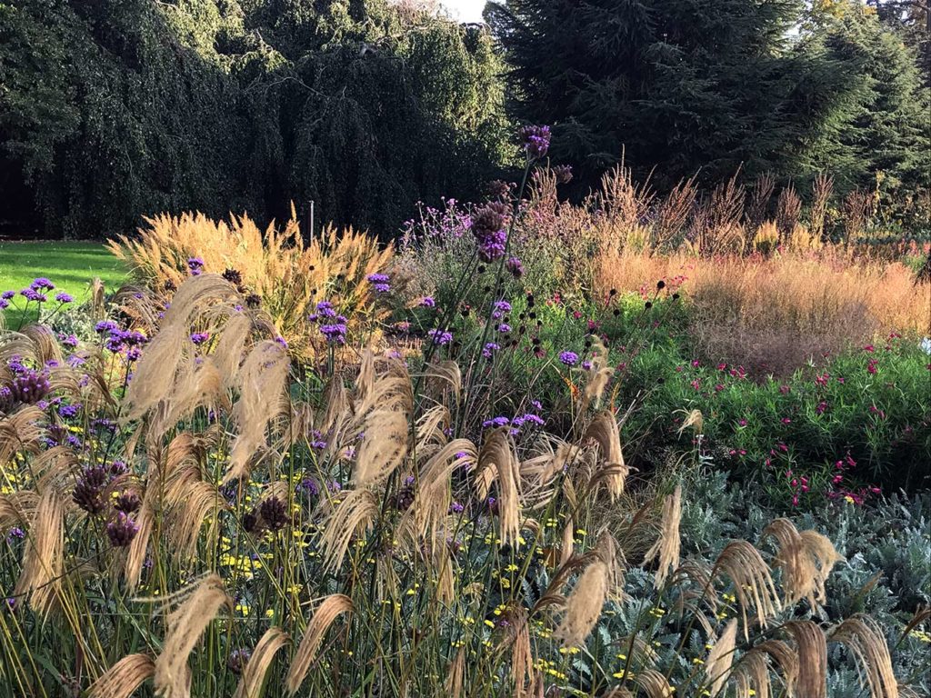 Jardin-naturel-ambiance-massif-dautomne