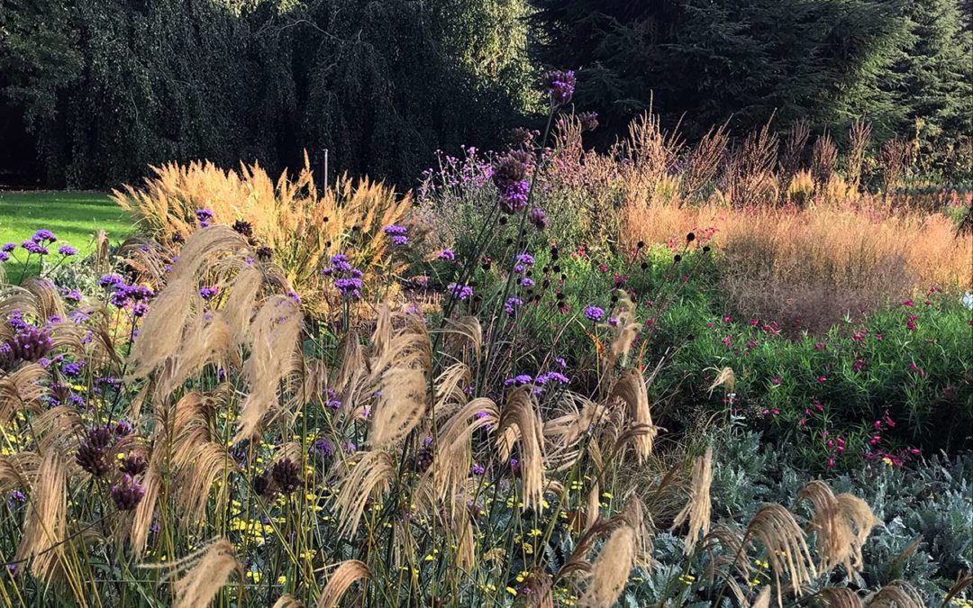 Jardin-naturel-ambiance-massif-dautomne