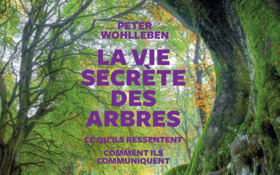 La vie secrète des arbres - Livre
